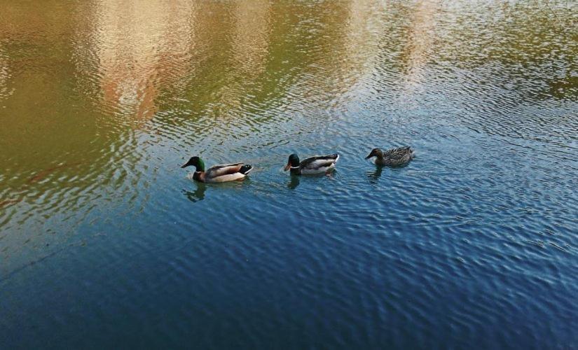 Apartman Cherry Gradac Valjevo Kültér fotó
