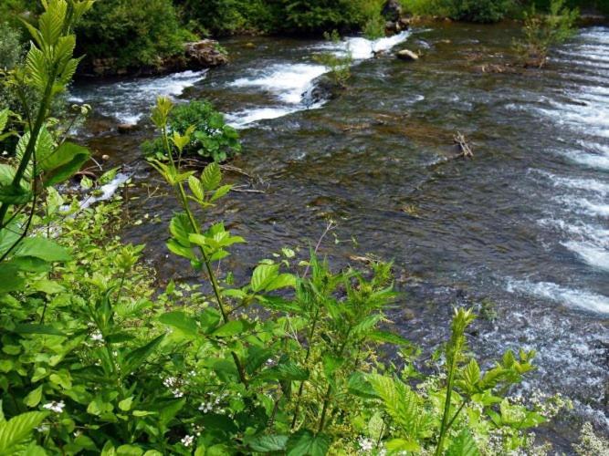 Apartman Cherry Gradac Valjevo Kültér fotó