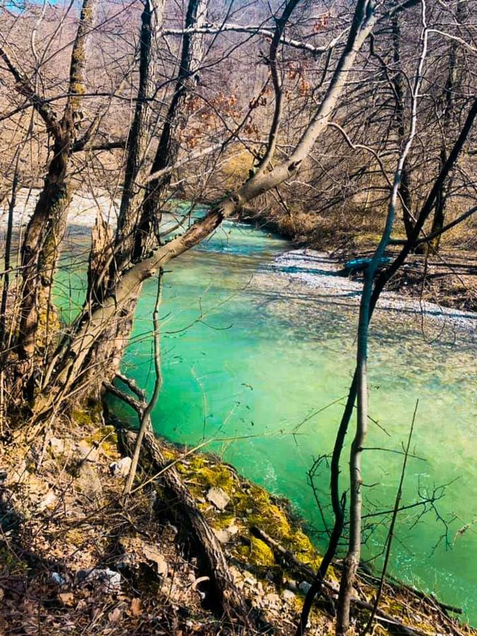 Apartman Cherry Gradac Valjevo Kültér fotó