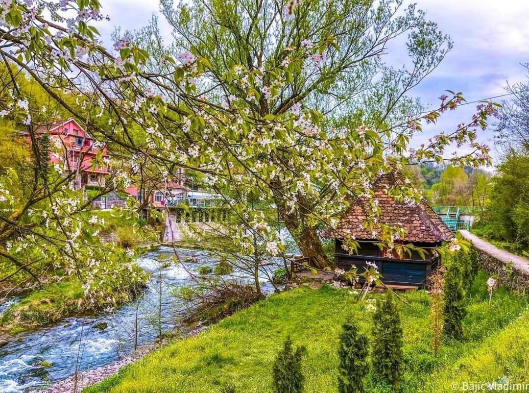 Apartman Cherry Gradac Valjevo Kültér fotó