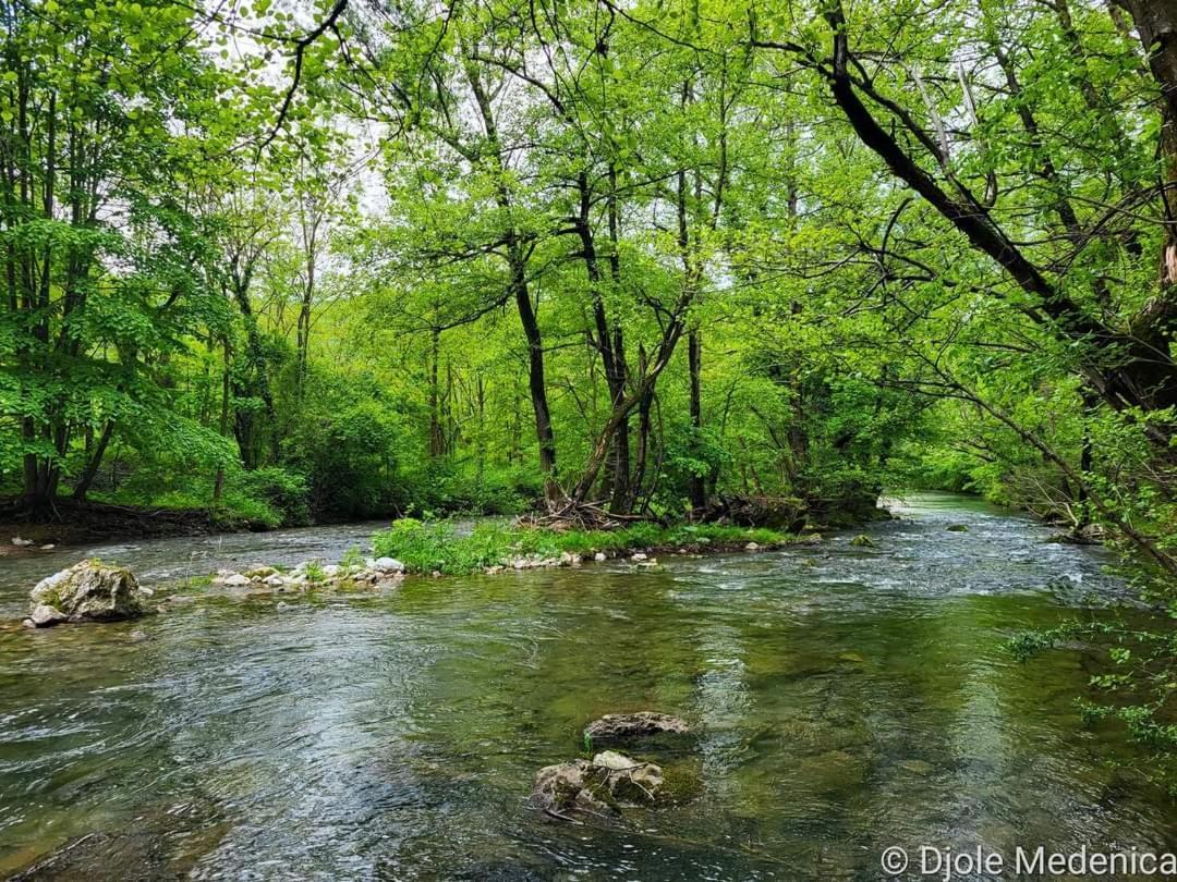 Apartman Cherry Gradac Valjevo Kültér fotó